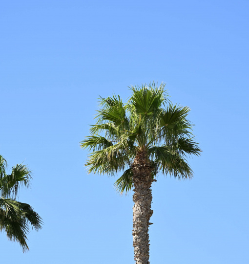 Voyage à Lanzarote - Canaries -