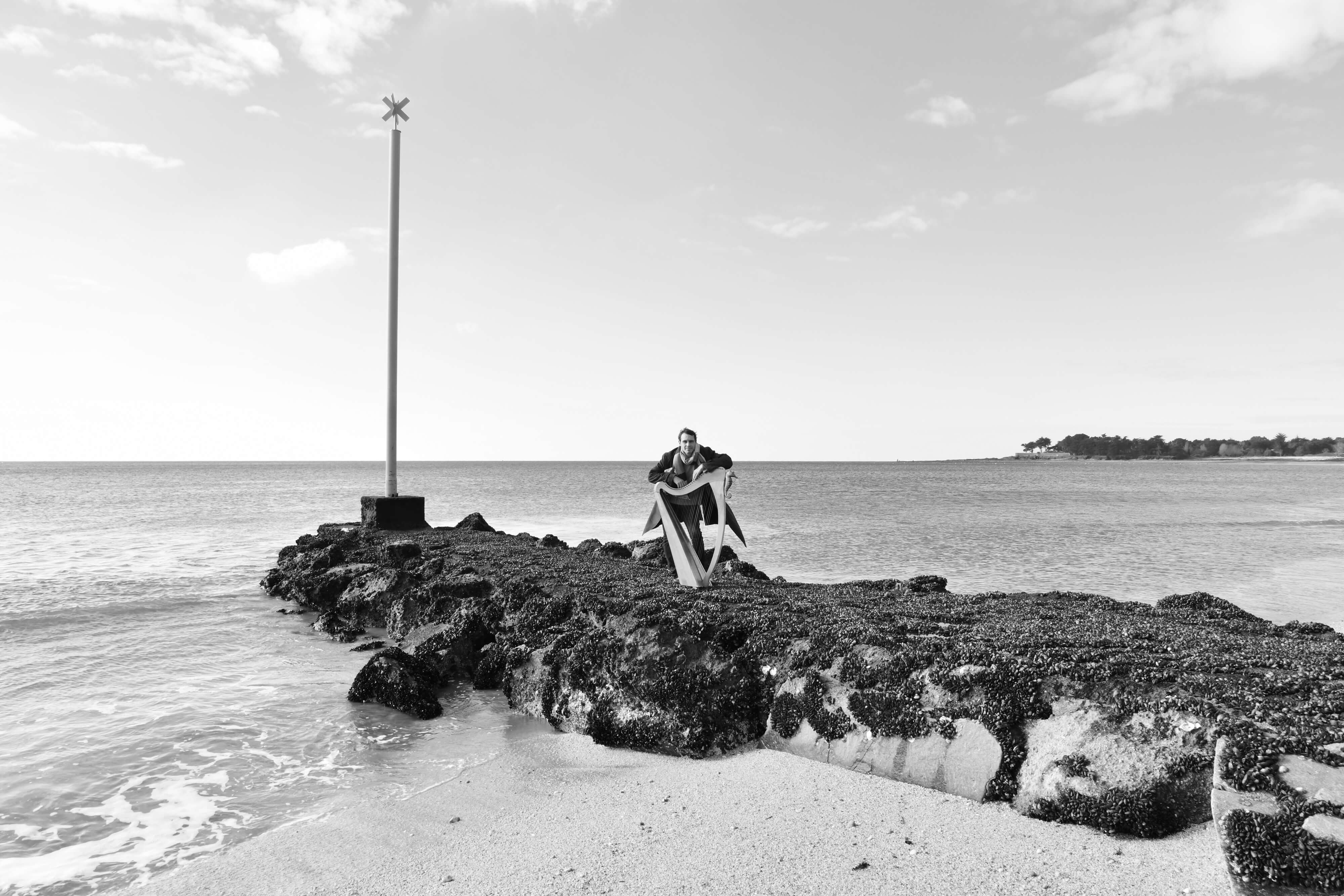 Pierre Bertrand - Harpiste - Suscinio - Presqu'ile de Rhuys - Morbihan