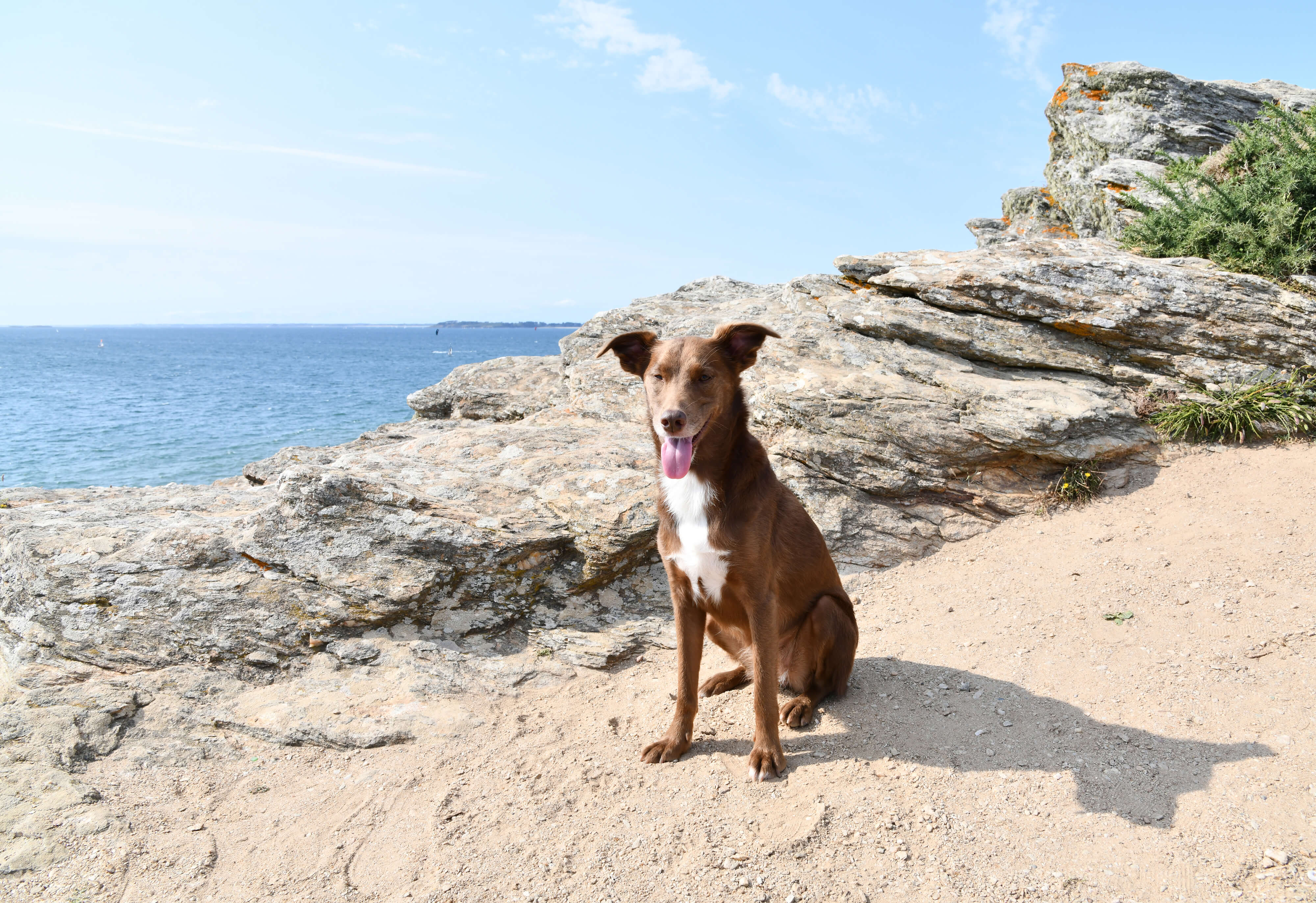Lisa et Klara - Saint-Gildas de Rhuys - Morbihan
