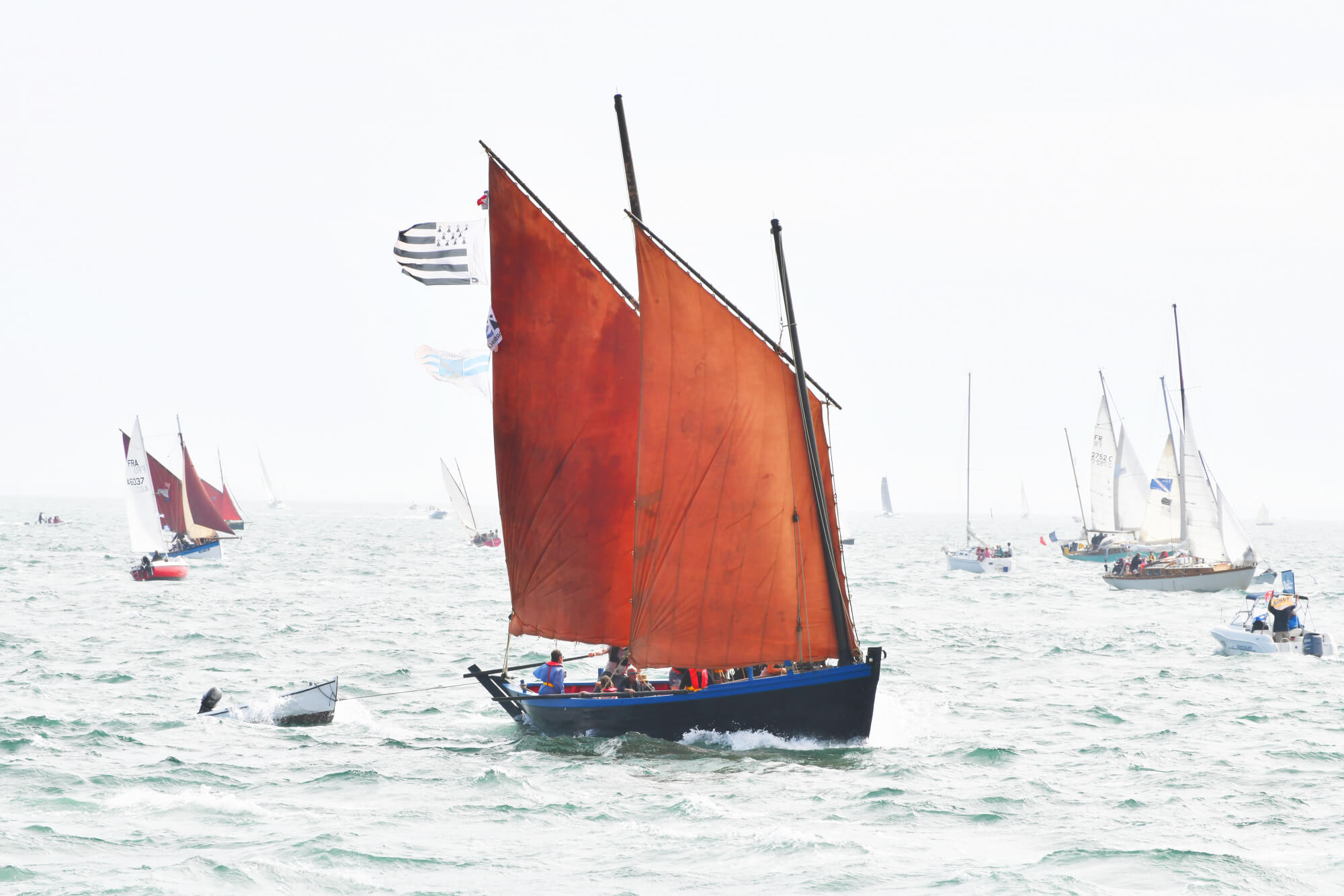 Semaine du Golfe 2025 - Arzon - Morbihan