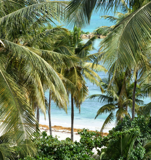 La Guadeloupe - Région de Rêve