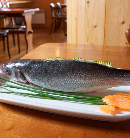 Photos Pour les Restaurants - Arzon